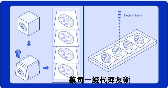 杭州蔡司杭州扫描电镜