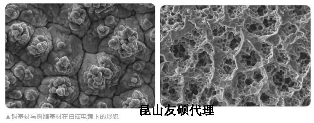 杭州蔡司杭州扫描电镜